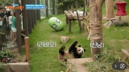 더쿠 - 어쩌다 어른 이거 러아 틀린 거 같은데 ㅋㅋㅋㅋ