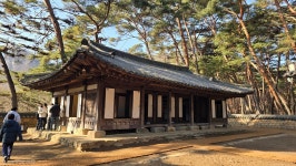 더쿠 - ㅇㅂㅈㅎ)청령포 왔다!!