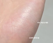 더쿠 - 오프라 데이드림이랑 브들 바운싱레몬 하라 비교해봤어