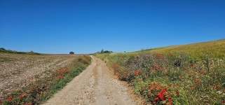 더쿠 - Ultreia et Suseia! 혼자 다녀온 산티아고 순례길 후기 (프랑스길) / 부르고스 - 까스뜨로헤리츠