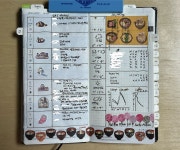 더쿠 - 호보니치 윅스 첫번째주 완성