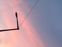 더쿠 - 하늘 너무 예뻤던 새벽러닝