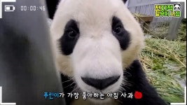 더쿠 - 코봉이 푸린이