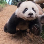 더쿠 - 후이 왜 줍는 짤마다 날고 있지ㅋㅋㅋ