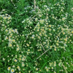 더쿠 - 퇴근길 후기