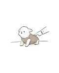 더쿠 - 견주가 자리를 비우면 안되는 이유