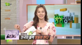 더쿠 - 오늘 쌍둥이 판다들 🐼 🐼 KBS2 데뷔.jpg (생생정보에 나와)