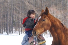 더쿠 - 고향으로 돌아와서 보모마의 임종을 본 목장의 둘째아들(경주마)