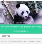 더쿠 - 처음보는 웬신 화니 시절 러바오 아이바오 중국 동영상 8개 (ㅁㅊ 완전 아기들이야)