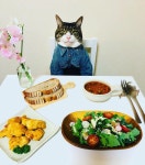 더쿠 - 🐱어서오세요 오전에도 운영하는 고등어 식당 입니다~