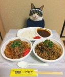 더쿠 - 🐱어서오세요 오전에도 운영하는 고등어 식당 입니다~