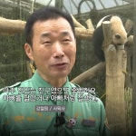 더쿠 - 이거 봤어?? 복보는 우리 곰 ㅜㅜㅜㅜㅜㅜㅜㅜㅜㅜㅜㅜㅜ