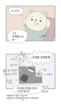 더쿠 - 실제 인공수정 과정