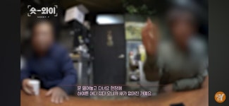 더쿠 - 궁금한 이야기 Y 앵무새 아리 실종사건