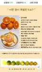 더쿠 - 서귀포 고당도 노지 귤 10kg 랜덤