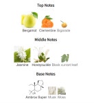 더쿠 - 에어린 허니써클 클레멘티나 블라인드 어떨까