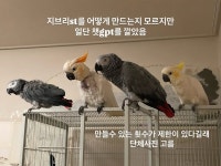 더쿠 - 지브리st 루몽다로🐦