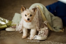 더쿠 - 어제보다 오늘 더 사랑스러운 서원X해나X보겸 많사부💖