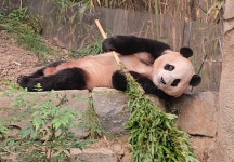 더쿠 - 방금 올라온 전뚠시 너무 감동이야ㅜㅜ