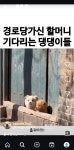 더쿠 - 경로당 가신 할머니 기다리는 댕댕이들🐶🐶