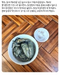더쿠 - 8월에 먹은 집밥들