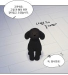 더쿠 - 귀요운 댕댕쓰
