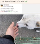 더쿠 - 가끔 가는 짬뽕집 강쥐 특기가 너무 귀여움
