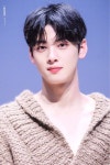 더쿠 - 모두를 난리 나게 만들었다는 니트 차은우.jpgif