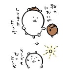 더쿠 - 농담곰 만화 개공감