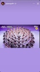 더쿠 - 가비 인스스ㅋㅋㅋㅋㅋㅋㅋ
