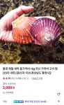 더쿠 - 통영 제철 세척 홍가리비 1kg 국산 30-35미