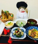 더쿠 - 🐱어서오세요 오전에도 운영하는 고등어 식당 입니다~