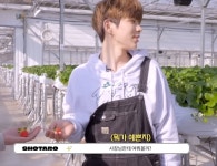 더쿠 - 야 덬들아 나 이제 성찬타로 무해 그거 깠는데 딸기농장푠은 꼭 봐라 (요약