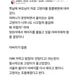 더쿠 - 동물병원 다녀오는 길에 서럽게 우는 고양이