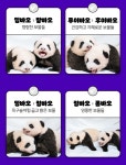 더쿠 - 아뉘 투표 페이지 사진 순서가 ㅋㅋㅋ