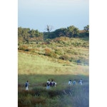 더쿠 - 성찬 인스타 모음(사이렌 + 메모리즈)(스압)