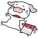 더쿠 - 돼지티콘 옆에 삼겹살이야? 베이컨이야?