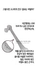 더쿠 - 아즈텍은 정말로 식인을 하였는가?