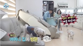 더쿠 - 스카이개슬 체험하는 기안84