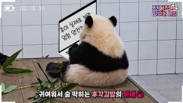 더쿠 - 강하부디를 믿어보댜