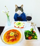 더쿠 - 🐱어서오세요 저녁에도 운영하는 고등어 식당 입니다~