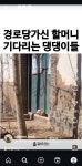 더쿠 - 경로당 가신 할머니 기다리는 댕댕이들🐶🐶