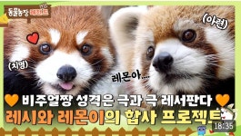 더쿠 - ㅇㅂㅇ 동물농장 레전드로 레시 레몬이 올라왔는뎈ㅋㅋ