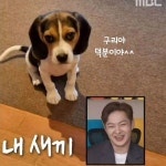 더쿠 - 구리아빠&이구리 생일 축하해 SP🥳🎉