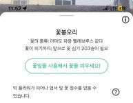 더쿠 - 빅플 203 남았는데 뭘 얼만큼 심어야할까?