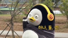 더쿠 - 원주에 800년 된 은행나무 보러 얼리버드 여행 간 펭수랑 원지🍂🌳