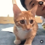 더쿠 - 언더월드 칠봉지 만난 나폴리맛피아 (부럽)
