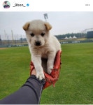 더쿠 - 파크와의 첫만남