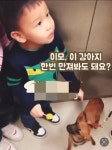 더쿠 - 이모 이 강아지 한번 만져봐도 돼요? ???: 누나라고 불러야지