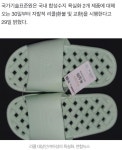 더쿠 - “다이소 이 슬리퍼 환불·교환하세요”… 납·카드뮴 기준 초과 검출